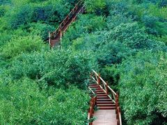 -大岭沟猕猴桃谷风景区