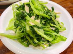 清炒鸡毛菜-老瑞福上海菜(人民广场店)