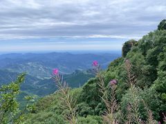 -白草畔自然风景区