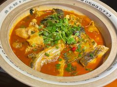 千岛湖有机胖头鱼-魏铭鱼头捞饭(晋阳路店)