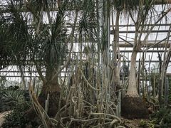 -南山植物园