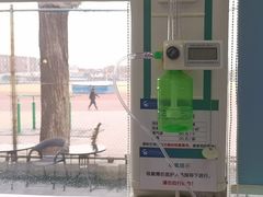-中国农业大学动物医院