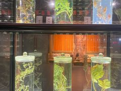 -广东中医药博物馆