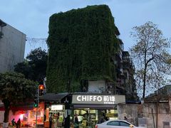 -黑竹香鸡(营和巷店)