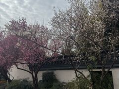 -巡塘古镇