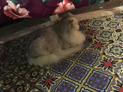 -广州迷途主题旅馆(海珠广场店)