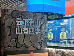 -芸山季·云南山珍菌火锅(人民广场来福士店)