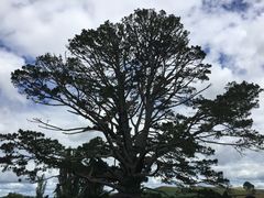 -霍比特人村