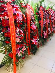 -西美医疗美容门诊部