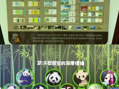 -武汉动物园