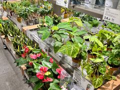 -鹿岛会员店(熙地港店)