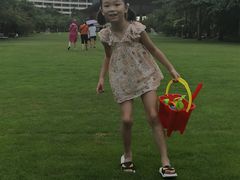 -海棠湾洲际-涛·海底餐厅·美人鱼·自助餐·海底隧道
