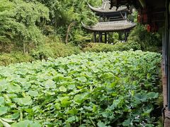 -三苏祠