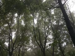 -雨花胜境