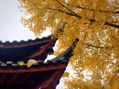 -高淳老街