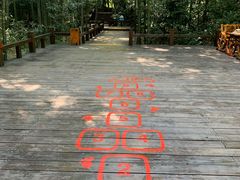 -天目湖松岭竹海漂流
