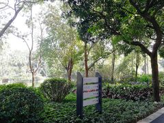 -晓港公园