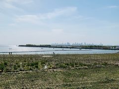 -合肥滨湖国家森林公园