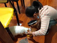 -猫小院猫主题咖啡厅(北锣店)