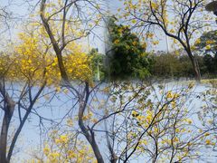 -广州市白云山风景名胜区