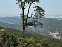 -广州莲花山旅游区