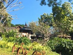 -四季酒店下午茶