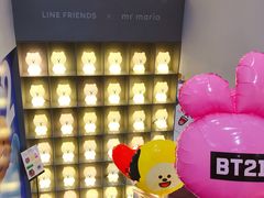 -line friends(明洞旗舰店)