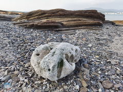 -东平洲海岸公园