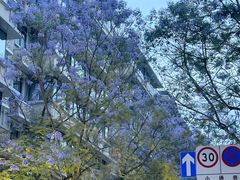 -雷祖芳老妈蹄花店