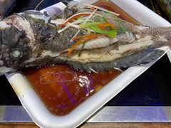 石斑鱼-盒马鲜生(宝地店)