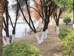 -飞来湖湿地公园