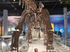 -国家自然博物馆