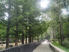 -白水寺森林公园