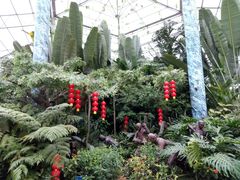 -广东茂名森林公园