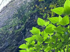 -苍山世界地质公园·石门关大峡谷