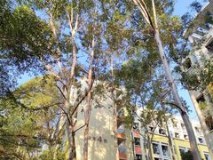 -华南师范大学(广州大学城校区)