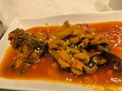 松鼠桂鱼-梅龙镇酒家(南京西路总店)