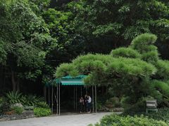 -碧桂园总部大楼