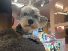-FAELING PETS美天灵宠物(富力广场店)