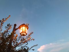 -蟹肉煲蟹肉(阊胥路店)