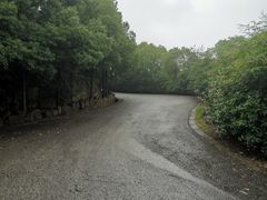 -雨花胜境