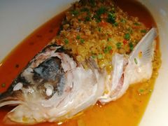 -凤凰湘语·湘粤鲜融(浦东旗舰店)