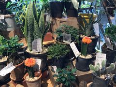 -无印良品(京都BAL店)