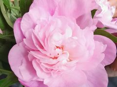 -爱乐蒙艺术·古筝 钢琴 声乐(科华校区)