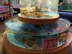 水产区-荔城生鲜盛宴(番禺旗舰店)