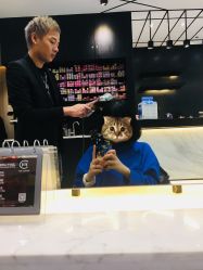 -HAIR CORNER