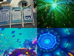 -南戴河国际娱乐中心