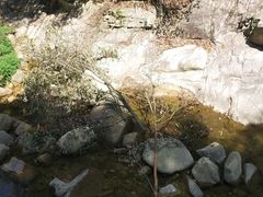 -麻城大别山桐枧冲瀑布群风景区