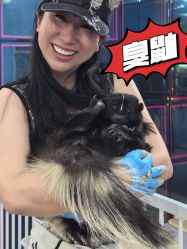 -神奇动物撸宠馆·羊驼·小浣熊·异宠(豫园店)