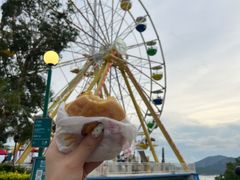 -麦当劳(海洋公园店)